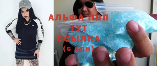 ПСИЛОЦИБИНОВЫЕ ГРИБЫ Абаза