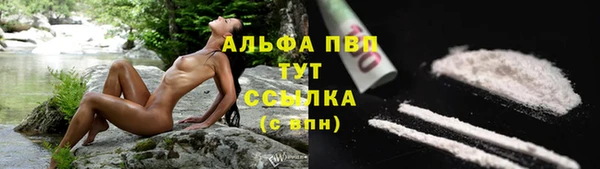 ECSTASY Абинск