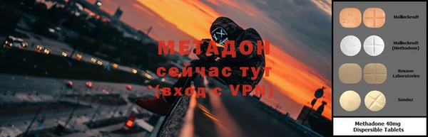 ПСИЛОЦИБИНОВЫЕ ГРИБЫ Абаза
