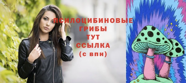 бошки Няндома