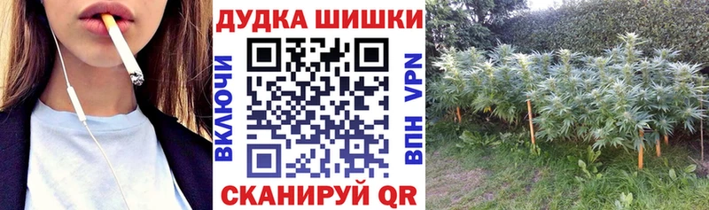 Бошки Шишки SATIVA & INDICA Россошь